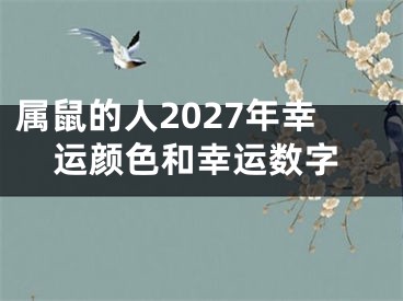 属鼠的人2027年幸运颜色和幸运数字