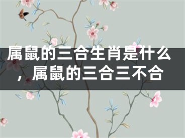 属鼠的三合生肖是什么,属鼠的三合三不合