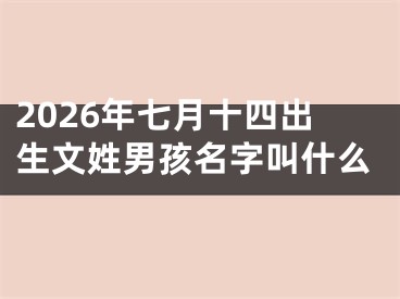 2026年七月十四出生文姓男孩名字叫什么