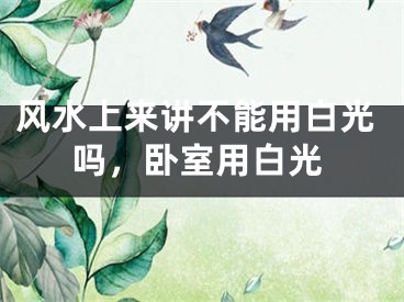 风水上来讲不能用白光吗，卧室用白光