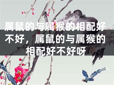 属鼠的与属猴的相配好不好,属鼠的与属猴的相配好不好呀