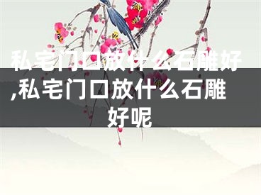 私宅门口放什么石雕好,私宅门口放什么石雕好呢