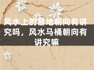风水上的墓地朝向有讲究吗，风水马桶朝向有讲究嘛