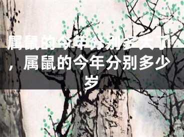 属鼠的今年分别多大了，属鼠的今年分别多少岁