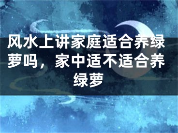 风水上讲家庭适合养绿萝吗，家中适不适合养绿萝