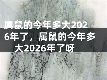 属鼠的今年多大2026年了，属鼠的今年多大2026年了呀