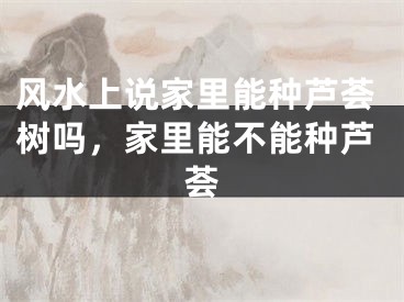 风水上说家里能种芦荟树吗，家里能不能种芦荟