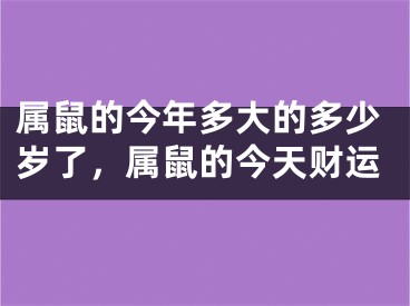 属鼠的今年多大的多少岁了，属鼠的今天财运