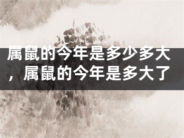 属鼠的今年是多少多大，属鼠的今年是多大了