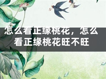 怎么看正缘桃花,怎么看正缘桃花旺不旺