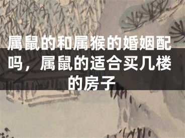 属鼠的和属猴的婚姻配吗，属鼠的适合买几楼的房子