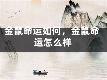 金鼠命运如何，金鼠命运怎么样