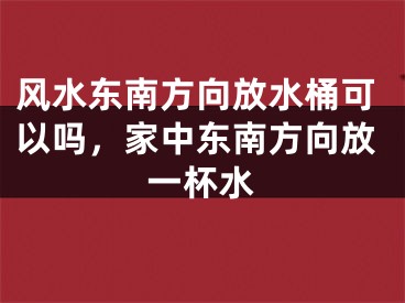 风水东南方向放水桶可以吗，家中东南方向放一杯水