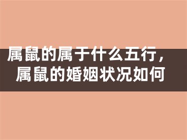 属鼠的属于什么五行，属鼠的婚姻状况如何