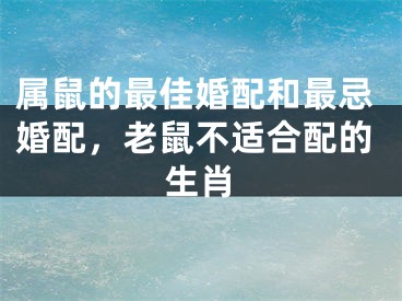属鼠的最佳婚配和最忌婚配，老鼠不适合配的生肖