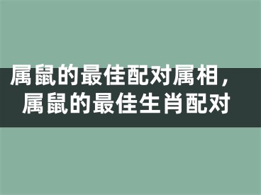 属鼠的最佳配对属相，属鼠的最佳生肖配对