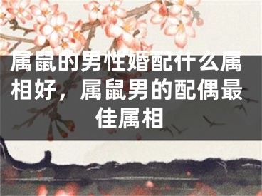 属鼠的男性婚配什么属相好,属鼠男的配偶最佳属相