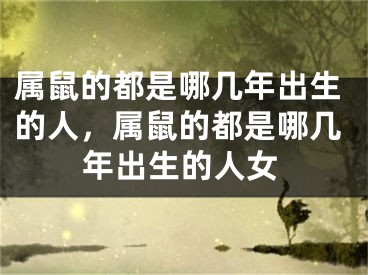属鼠的都是哪几年出生的人,属鼠的都是哪几年出生的人女