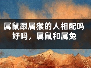 属鼠跟属猴的人相配吗好吗，属鼠和属兔