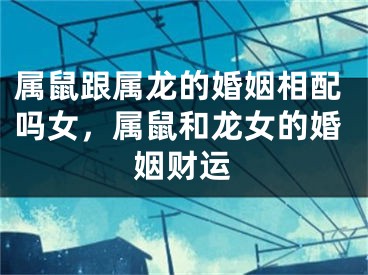 属鼠跟属龙的婚姻相配吗女，属鼠和龙女的婚姻财运