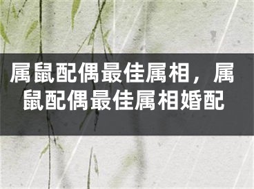 属鼠配偶最佳属相，属鼠配偶最佳属相婚配