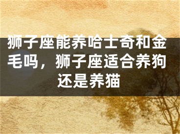 狮子座能养哈士奇和金毛吗，狮子座适合养狗还是养猫
