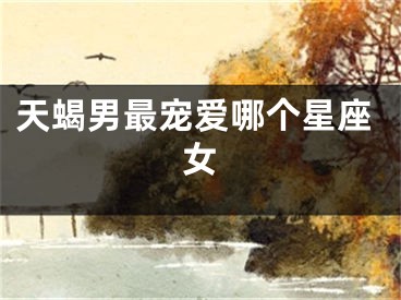 天蝎男最宠爱哪个星座女