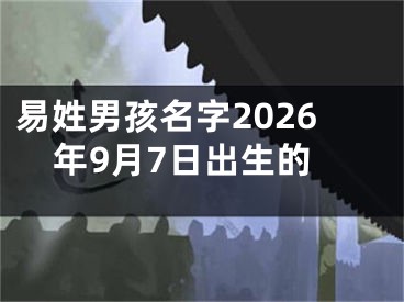 易姓男孩名字2026年9月7日出生的