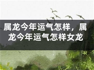 属龙今年运气怎样，属龙今年运气怎样女龙