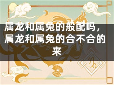 属龙和属兔的般配吗,属龙和属兔的合不合的来