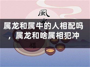 属龙和属牛的人相配吗，属龙和啥属相犯冲