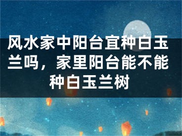风水家中阳台宜种白玉兰吗,家里阳台能不能种白玉兰树