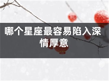 哪个星座最容易陷入深情厚意