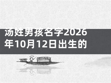 汤姓男孩名字2026年10月12日出生的