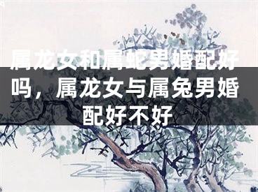 属龙女和属蛇男婚配好吗，属龙女与属兔男婚配好不好