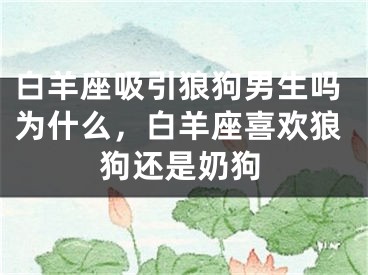 白羊座吸引狼狗男生吗为什么，白羊座喜欢狼狗还是奶狗