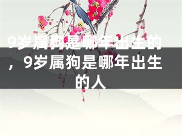 9岁属狗是哪年出生的，9岁属狗是哪年出生的人