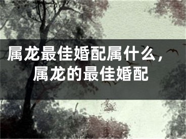属龙最佳婚配属什么，属龙的最佳婚配