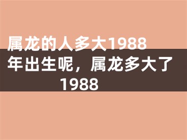 属龙的人多大1988年出生呢，属龙多大了1988