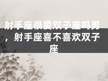 射手座很爱双子座吗男，射手座喜不喜欢双子座