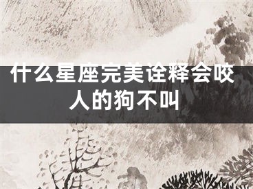 什么星座完美诠释会咬人的狗不叫