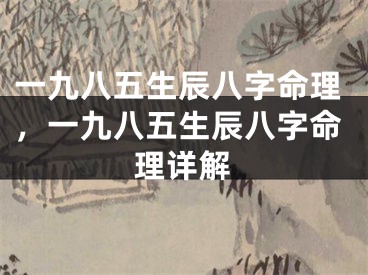 一九八五生辰八字命理，一九八五生辰八字命理详解