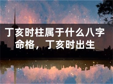 丁亥时柱属于什么八字命格，丁亥时出生
