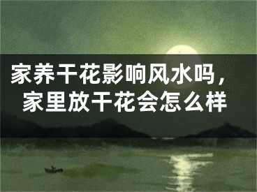 家养干花影响风水吗，家里放干花会怎么样