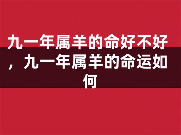 九一年属羊的命好不好，九一年属羊的命运如何