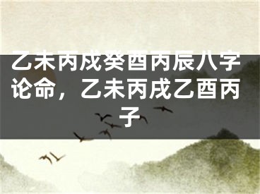 乙未丙戍癸酉丙辰八字论命，乙未丙戌乙酉丙子