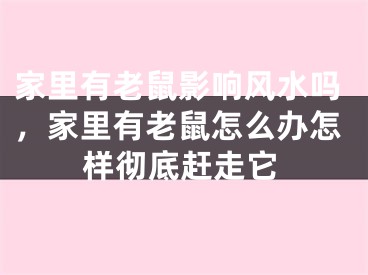 家里有老鼠影响风水吗，家里有老鼠怎么办怎样彻底赶走它