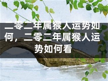 二零二年属猴人运势如何，二零二年属猴人运势如何看