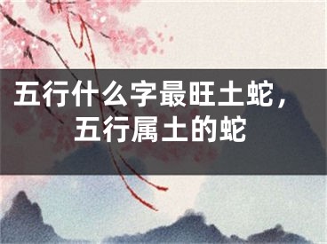 五行什么字最旺土蛇，五行属土的蛇