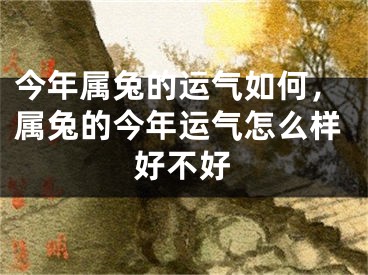 今年属兔的运气如何，属兔的今年运气怎么样好不好